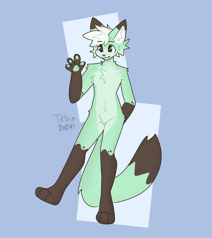 Tetri V3