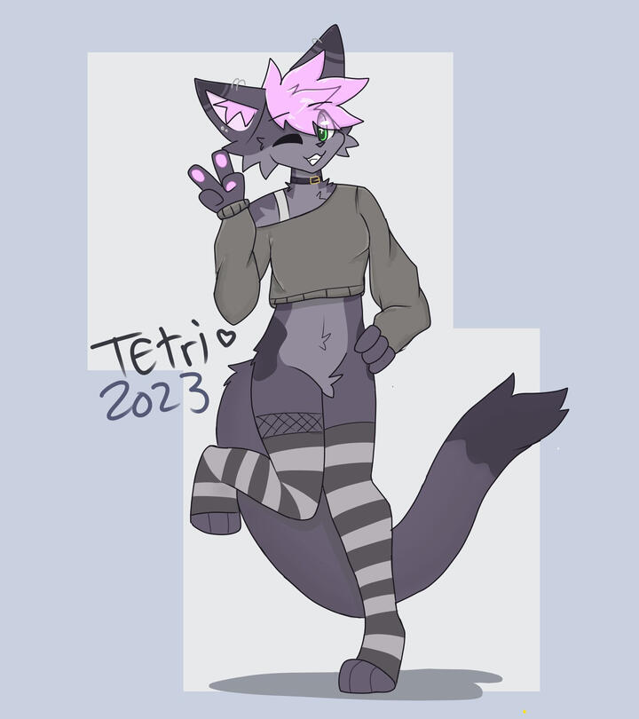 Tetri V2